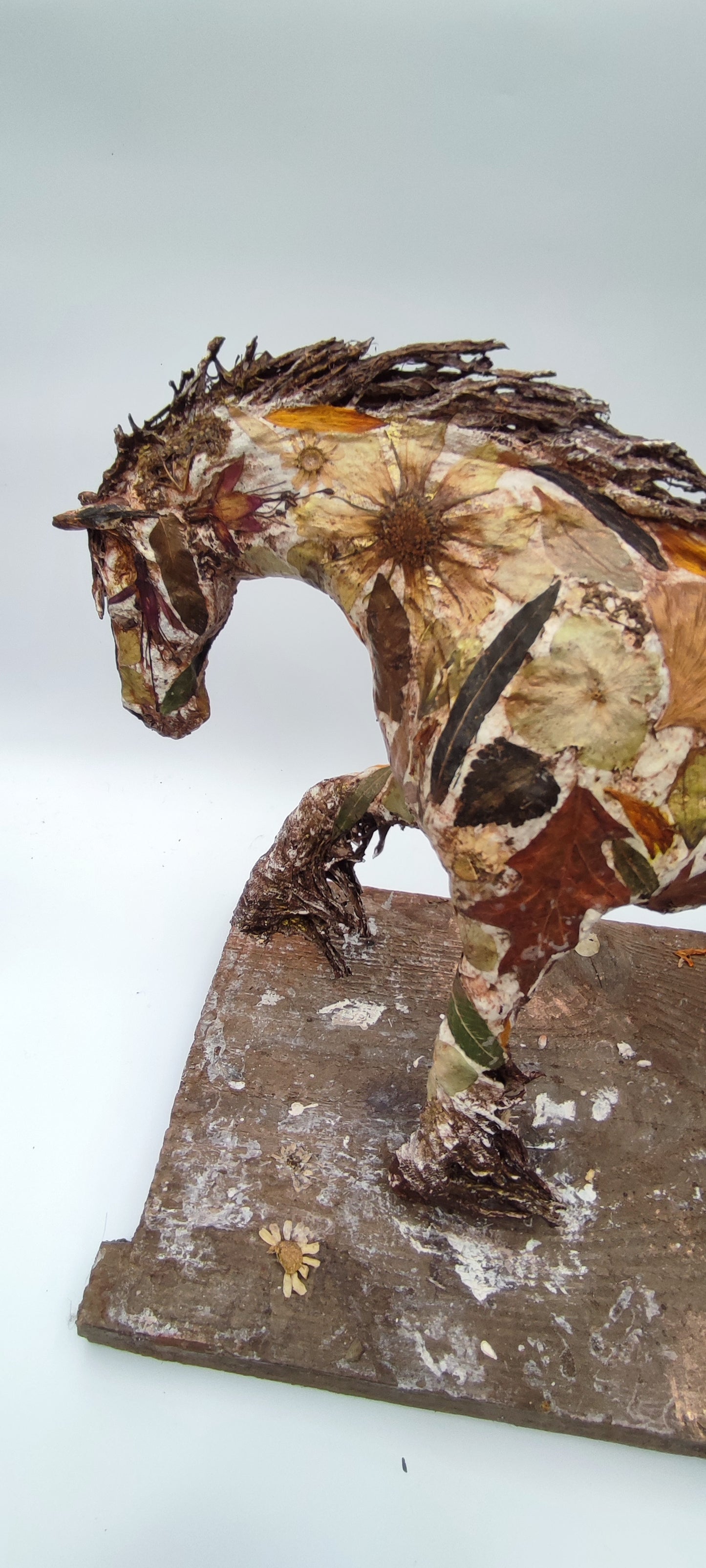 "Nature Horse" One of a Kind