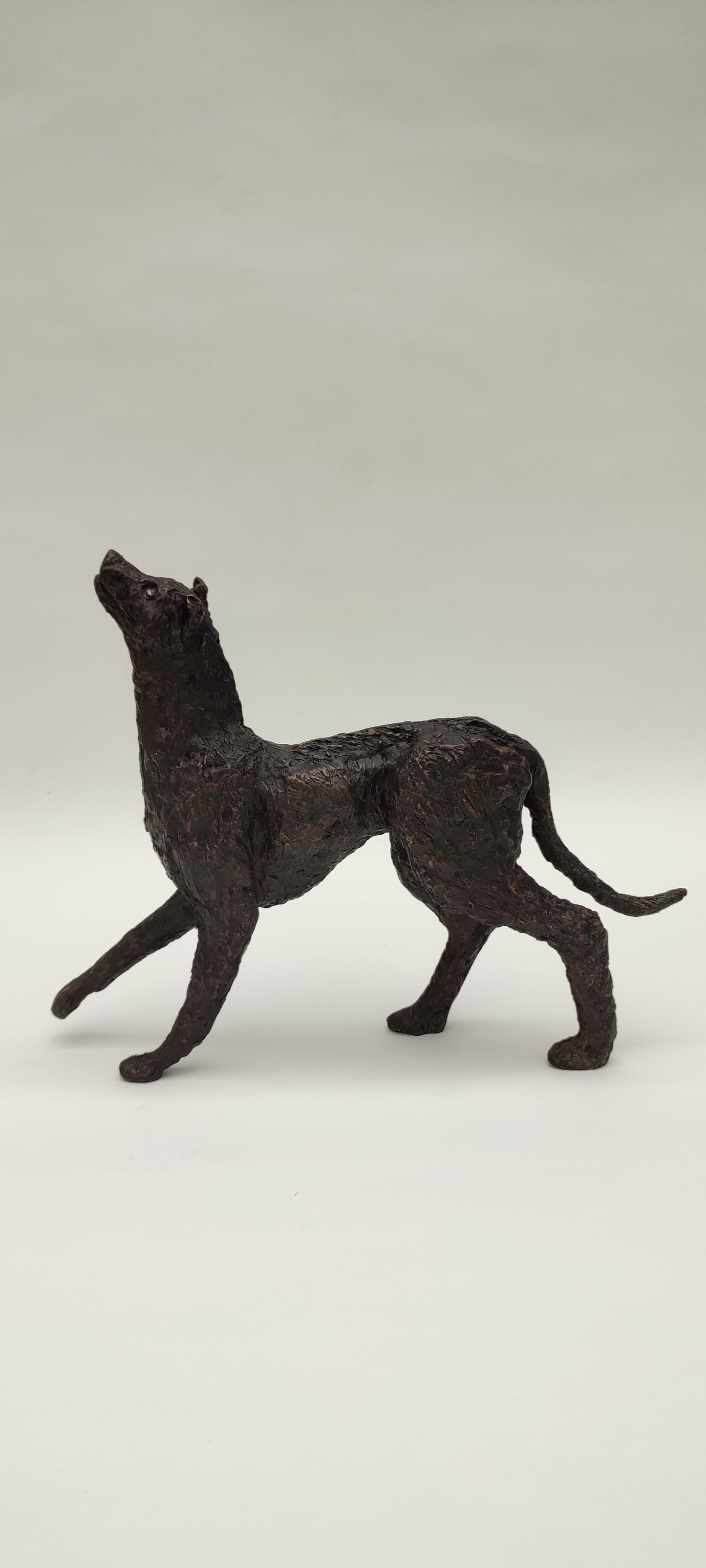 BRONZE CAST SCULPTURES "Mossy Hounds" Limited Edition